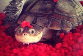 Смешные картинки