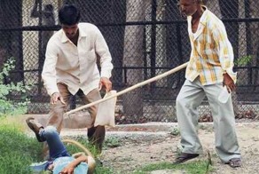 Бешеная обезьяна вцепилась ребенка (4 фото)