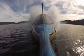 Удивительная лодка-рыба