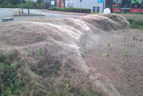 Странная паутина в Лондоне