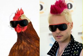 Отпадные фотки