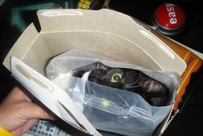 Смешные картинки