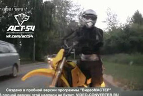 Подборка роликов