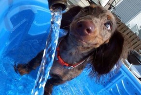 Смешная фотогалерея