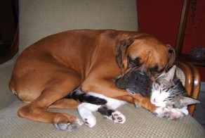 Новый фотоприкол