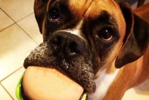 Крутые фотки