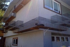 Фотоприкол фото