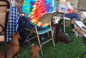 Фотоприкол онлайн