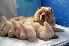 Зачетное фото