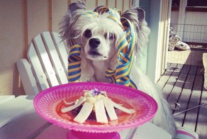 Бугагашеньки