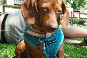 Фотоприкол онлайн бесплатно