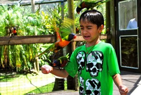 Юмор прикол