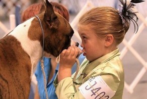 Красивые фото