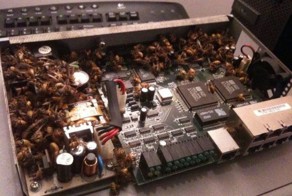 Прикол картинка