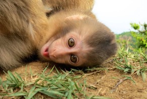 Фото онлайн