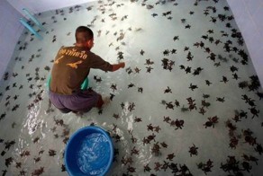 Фото прикол