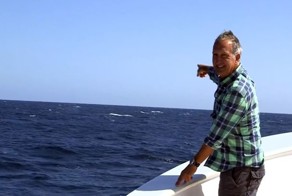 Синий кит прервал репортаж телеведущего BBC о том, что синих китов очень трудно найти