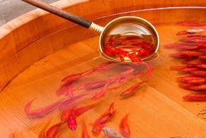 Они кажутся живыми, но на деле это просто нарисованные рыбки