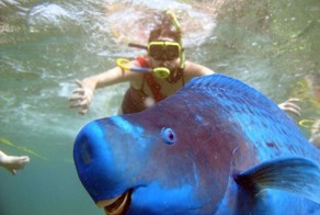 Зачетное фото