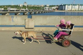 Фотожесть