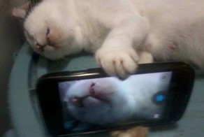 Фотка