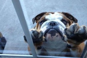 Фотоподборка