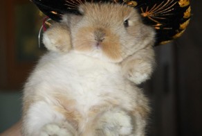 Фотоприкол недели