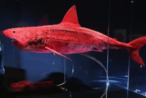 Прикольные фото