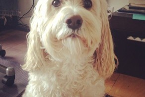 Прекрасные фото