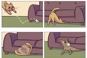 Фотоприкол онлайн