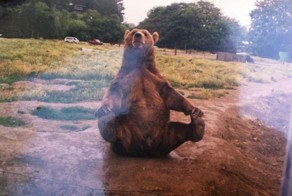 Смешная фотогалерея