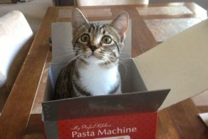 Прикол картинка