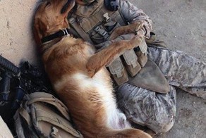 Свежий фотоприкол