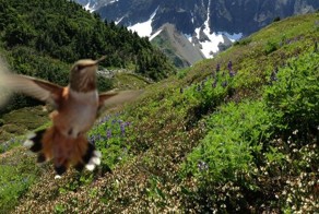 Фотоподборка