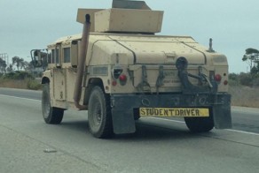 Шикарное фото