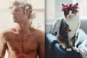 23 очаровательных кота, пародирующих фотографии моделей