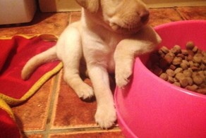 Улетное фото