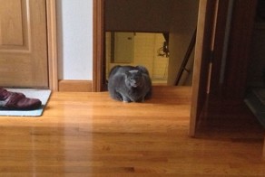 Фотоальбом