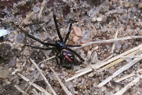 Бесплатный фотоприкол