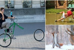 42 фотографии, сделанные в нужный момент