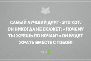 20 открыток о том, что без кота и жизнь не та