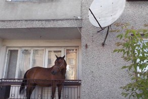 Нет-нет, вы не пьяны, эти 16 фотографий действительно ТАКИЕ странные