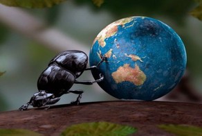 10 удивительных фактов, о которых вы, возможно, не знали