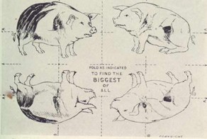 Историческая головоломка: Ищем пятую свинью