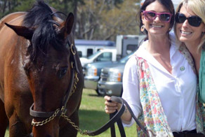 Последствия удара лошадиным копытом