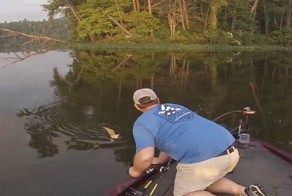 Героическое спасение котят из реки