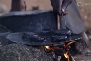 Африканские котлеты из комаров