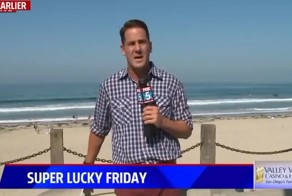 Репортер испугался гигантского жука