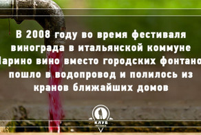 8 фактов об алкоголе