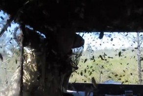 Настоящий гнус в тайге или прелести работы на васюганских болотах